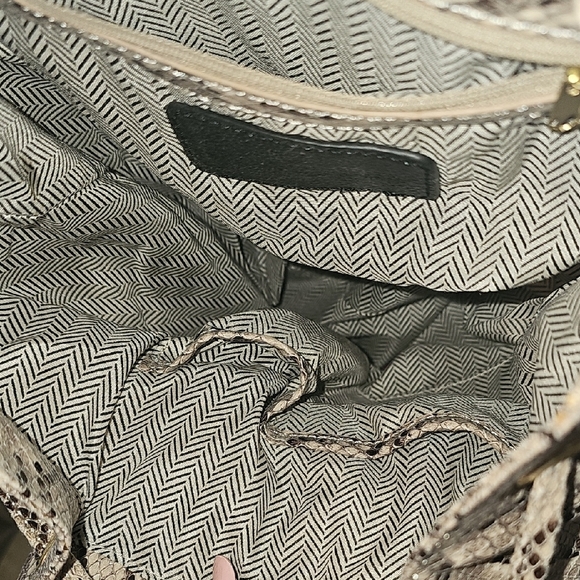 Steve Madden NWOT Snake Print Backpack Bag with Gold Accents NEW main image 5